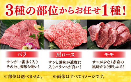 【12回定期便】佐賀牛 焼肉用 計6kg (500g×12回)  ※バラ・肩ロース・モモのいずれの部位※ しゃぶしゃぶ すきやき[FDB035]