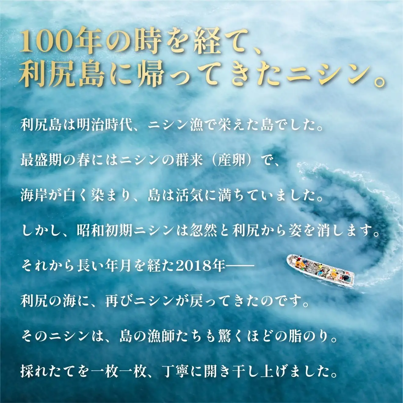 干物 ニシン 開き 5枚 | トロにしん 北海道 利尻産 無添加 国産 干物 脂のり抜群 開き 干し ニシン 肉厚 冷凍 ギフト 焼き魚 1２000円 1万円台[1060008]