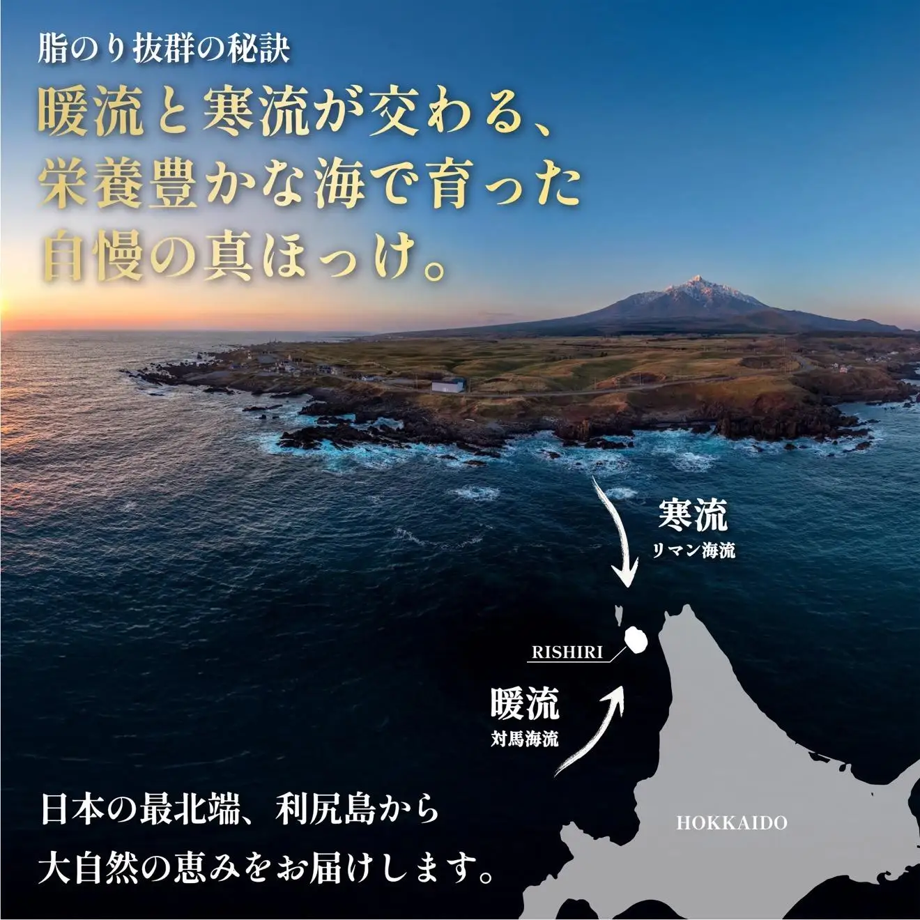 島の干物 食べ比べ ホッケ＆ニシン 開き6枚セット｜北海道 利尻島産 ひもの 開きホッケ 開きニシン 脂乗り 抜群 焼き魚 15000円 1万円台 [1060010]