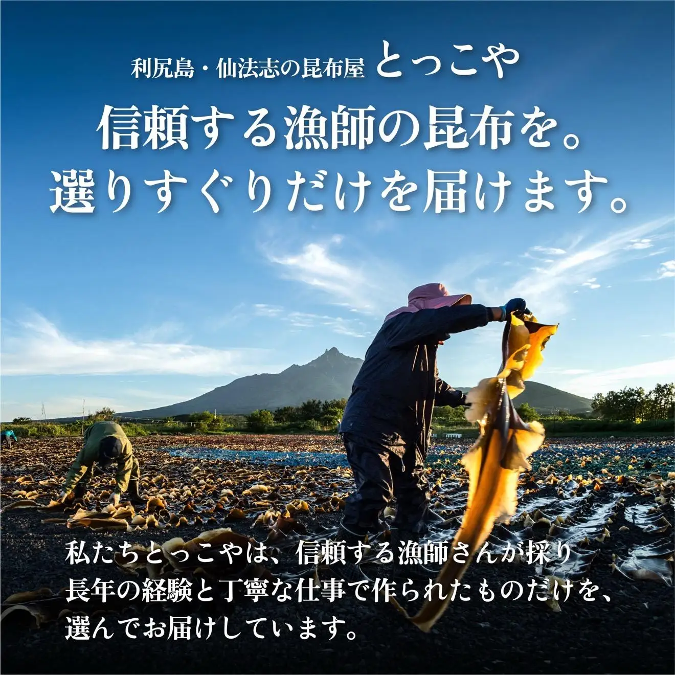 利尻産 贈答用 天然利尻昆布100g×2袋 (チャック無し）｜天然 上品な出汁 カット済み ギフト対応 北海道 お歳暮・お中元 贈り物 [1080014]