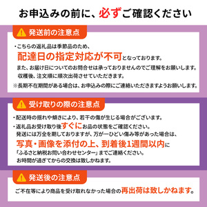 1～2月 津軽ぶどう村 特秀 スチューベン ぶどう 約 1.5kg 糖度18度以上【 青森ぶどう 青森県鶴田町産 1月 2月 果物 フルーツ 高糖度 ギフト 贈答用 ポリフェノール 】 