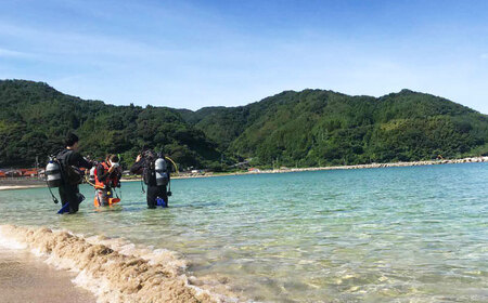 ダイビング 松江で海中散歩♪初心者でも安心の体験ダイビングプラン 島根県松江市/合同会社LOCOBLUE[ALFE001] ダイビング ダイビング
