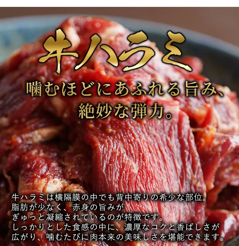 訳あり ハラミ にんにく醤油漬け 3kg (500g×6) 牛ハラミ