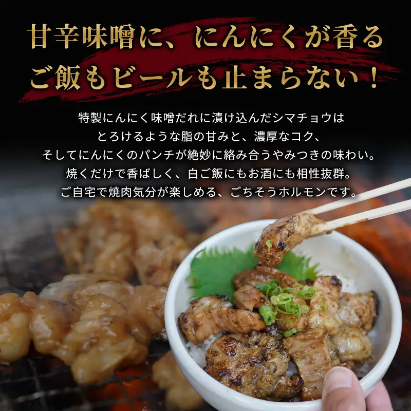 訳あり 中トロホルモン 1kg にんにく味噌味 （250g×4）ホルモン