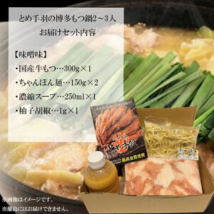 【ふるさと納税】博多 もつ鍋 セット 味噌味 2-3人前 [a9206] 株式会社フェリックス ※配送不可：離島【返礼品】添田町 ふるさと納税