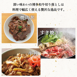 【ふるさと納税】博多和牛 A5～A4 切り落とし 500g 化粧箱入 [a9237] 株式会社マル五 ※配送不可：離島【返礼品】添田町 ふるさと納税