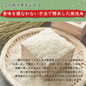 【ふるさと納税】令和6年産 福岡県産夢つくし無洗米5kg(5kg×1) [a7193] 株式会社 藤食糧 【返礼品】添田町 ふるさと納税