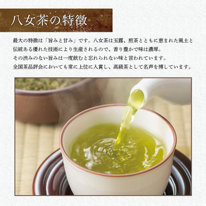 【ふるさと納税】福岡 銘茶 八女茶 急須要らずのお手軽セット(便利なチャック付) [a9238] 株式会社マル五 【返礼品】添田町 ふるさと納税