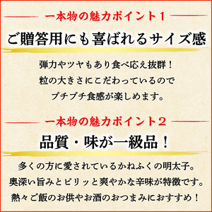 【ふるさと納税】かねふく〈無着色〉辛子明太子170g(一本物)とチューブ明太子500gセット [a7096] 藤井乾物店 ※配送不可：離島【返礼品】添田町 ふるさと納税