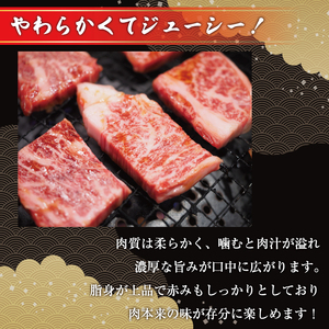 【ふるさと納税】博多和牛サーロインステーキセット 500g(250g×2枚) [a9079] 株式会社Meat Plus ※配送不可：離島【返礼品】添田町 ふるさと納税