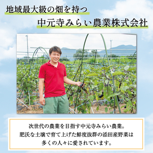 【ふるさと納税】中元寺 旬の実り 野菜 セット(旬の野菜 7～9種類程度) [a9010] 中元寺みらい農業株式会社 ※配送不可：北海道・東北・沖縄・離島【返礼品】添田町 ふるさと納税