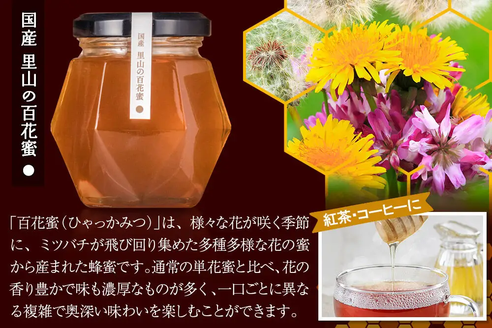 856シリーズ 国産 アカシヤ・トチ・里山 100g 各1個 山のはちみつ屋