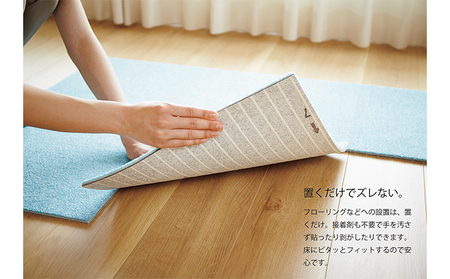 吸着分割カーペット3平方メートル（50×50cm　12枚セット）＜プラチナ＞