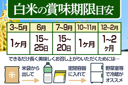【無洗米】＜令和7年産＞《定期便6ヶ月》秋田県産 あきたこまち 5kg (5kg×1袋) ×6回 5キロ お米 匠 