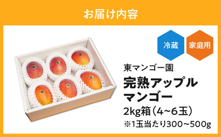 【 2026年 先行予約 】 ≪ ご家庭用 ≫ 東マンゴー園 直送 ！ 完熟 アップルマンゴー 2kg （ 4～6 玉 ） W014-010u 訳あり わけあり 果物 マンゴー