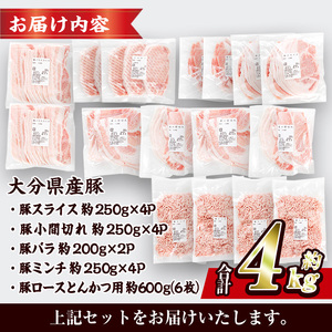 ＜1回配送＞ 豚肉 バラエティーパック (合計4kg) 豚バラ しゃぶしゃぶ 鍋 とんかつ ロース 小分け 個包装 豚こま 小間切れ スライス ミンチ 5種 セット 詰め合わせ 冷凍 食べ比べ 国産 大分県 佐伯市【BD325】【西日本畜産】