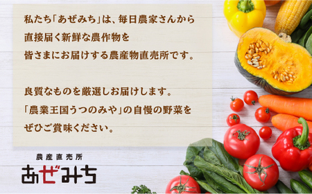 【3ヶ月定期便】農産直売所あぜみち 新鮮野菜 詰め合わせ ※着日指定不可