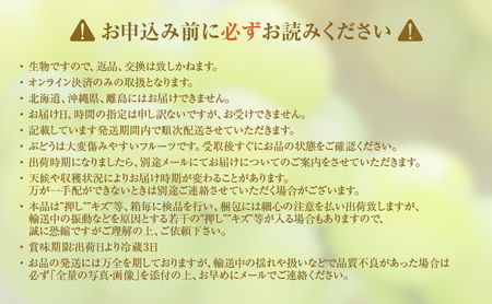 【2026年 先行予約】【訳あり品】瀬戸ジャイアンツ 2房 合計約1kg 常温配送 ぶどう 葡萄 フルーツ 果物 岡山 岡山のぶどう 食後 デザート 産地直送 皮ごと 酸味が少ない 爽やか 甘い 