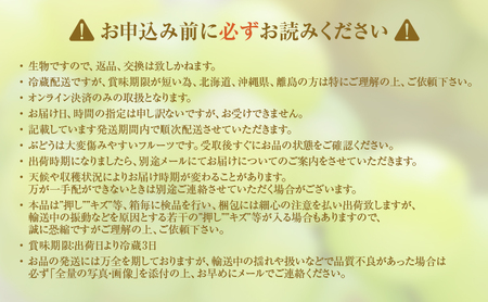 【2026年 先行予約】【訳あり品】瀬戸ジャイアンツ 4～5房 合計約2kg 冷蔵配送 ぶどう 葡萄 フルーツ 果物 岡山 岡山のぶどう 食後 デザート 産地直送 皮ごと 酸味が少ない 爽やか 甘い 