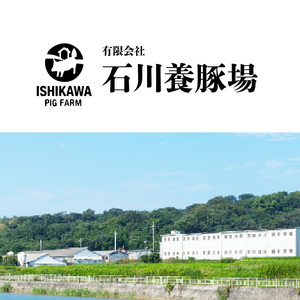 養豚場直営の超新鮮な味噌とんちゃん（味付けホルモン） ブリオ あいぽーく 豚肉 国産 ブランド豚 焼肉 炒め物 バーベキュー BBQ 惣菜 冷凍 味噌 ホルモン 小分け 人気 大腸 小腸 ハツ ガツ レバー とんちゃん 味付け肉 美味しい お取り寄せ グルメ 愛知県 常滑市