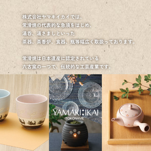 【常滑焼】名工昭龍天目急須 陶器 やきもの セラメッシュ 名工作品 伝統工芸 工芸品 六古窯 急須 ポット ティーポット 日本茶 お茶 日本製 国産 茶道具 茶器 キッチン用品 キッチン雑貨 日本六古窯 常滑焼 愛知県 常滑市