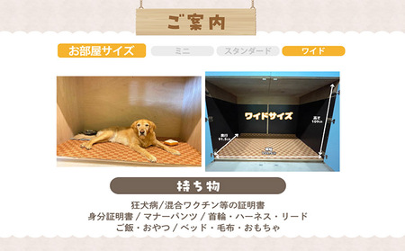 【海を一望できるドッグラン 利用チケット】ホテル ワイド1泊2日 犬 ペット ペットホテル 犬用ホテル 大型犬 中型犬 dog わんちゃん 愛犬 イヌ 宿泊 ドッグラン 常滑市 空港に近い 飼い主 体験チケット 1頭 1泊 愛知県 常滑市