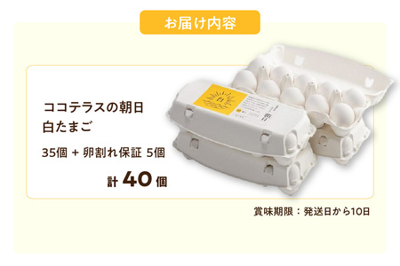 ココテラスの朝日（白たまご）35個 + 5個保証（計40個）【JGAP認証】 農家直送 新鮮 卵 タマゴ 白卵 玉子 鶏卵 朝食 夕食 夜食 朝ごはん たまご焼き だし巻き卵 オムレツ 卵ご飯 料理 濃厚 飼料にこだわった 卵かけご飯 米たまご 生卵 大容量 お取り寄せ 愛知県 常滑市