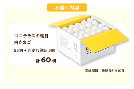 ココテラスの朝日（白たまご）55個 + 5個保証（計60個）【JGAP認証】 農家直送 新鮮 卵 タマゴ 白卵 玉子 鶏卵 朝食 夕食 夜食 朝ごはん たまご焼き だし巻き卵 オムレツ 卵ご飯 料理 濃厚 飼料にこだわった 卵かけご飯 米たまご 生卵 大容量 お取り寄せ 愛知県 常滑市