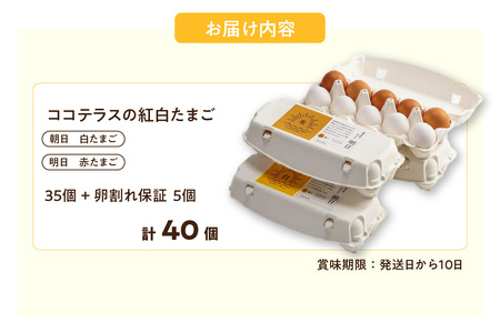 ココテラスの紅白たまご　35個 + 5個保証（計40個）【JGAP認証】 農家直送 新鮮 卵 タマゴ 赤卵 白卵 玉子 鶏卵 朝食 夕食 夜食 朝ごはん たまご焼き だし巻き卵 オムレツ 卵ご飯 料理 濃厚 飼料にこだわった 卵かけご飯 米たまご 生卵 大容量 お取り寄せ 愛知県 常滑市