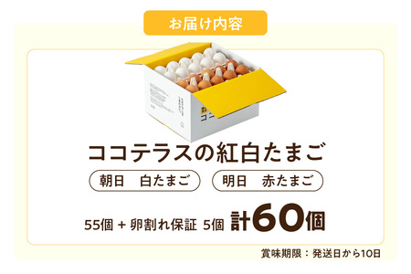 ココテラスの紅白たまご　55個 + 5個保証（計60個）【JGAP認証】 農家直送 新鮮 卵 タマゴ 赤卵 白卵 玉子 鶏卵 朝食 夕食 夜食 朝ごはん たまご焼き だし巻き卵 オムレツ 卵ご飯 料理 濃厚 飼料にこだわった 卵かけご飯 米たまご 生卵 大容量 お取り寄せ 愛知県 常滑市
