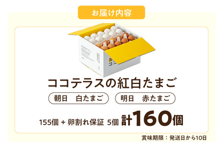 ココテラスの紅白たまご　155個 + 5個保証（計160個）【JGAP認証】 農家直送 新鮮 卵 タマゴ 赤卵 白卵 玉子 鶏卵 朝食 夕食 夜食 朝ごはん たまご焼き だし巻き卵 オムレツ 卵ご飯 料理 濃厚 飼料にこだわった 卵かけご飯 米たまご 生卵 大容量 お取り寄せ 愛知県 常滑市