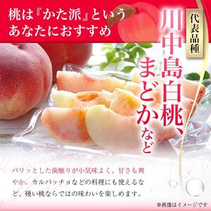 《先行予約 2026年発送》山形県産 白桃×黄桃 秀品 3kg もも モモ 桃 デザート フルーツ 果物 くだもの 果実 食品 山形県 FSY-2496