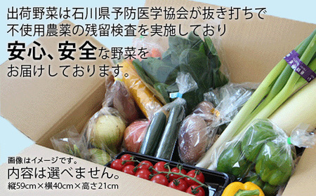 野菜詰め合わせ 季節の野菜 JA小松市 