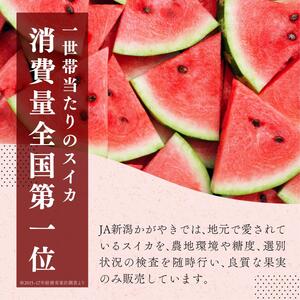 スイカ 大玉すいか （ 祭ばやし ） 秀L 2玉入り 約6～6.9kg×2玉 計12Kg以上 大玉 すいか フルーツ 果物 2玉 新潟 夏フルーツ 