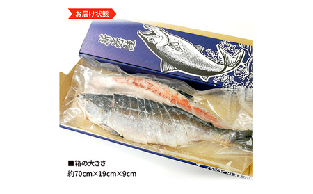 新巻鮭姿切り 1尾 新巻鮭 鮭 さけ サケ しゃけ シャケ サーモン 塩鮭 切り身 魚 海産物 魚介 魚介類 惣菜 おかず ごはんのお供 朝ごはん お弁当 ギフト 贈答 冷凍 新潟 
