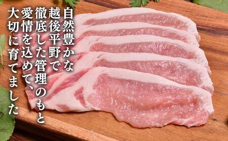 和豚もちぶた ローススライス 1kg （500g×2パック） セット 豚ロース ロース もち豚 お肉 肉 豚肉 豚 おかず 惣菜 朝ごはん お弁当 焼肉 バーベキュー BBQ 小分け 冷凍 新潟県 新潟 