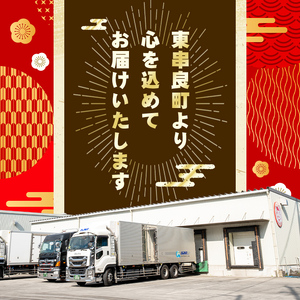 【0134806b】＜定期便・全2回＞少量パック！国産若鶏肉ヘルシーセット(計6kg・3kg×2回) 鶏肉 鳥肉 とり肉 むね肉 おかず 小分け 国産【エビス】