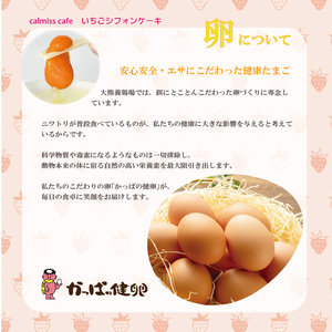 いちごシフォンケーキ 1ホール（直径17cm）【Calmiss Caf?】スイーツ デザート おやつ お菓子 洋菓子 お取り寄せ 冷凍 北海道 比布町 ぴっぷ 1016-001