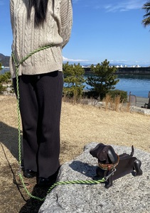 b150-030　首輪と肩掛けリードセット 中型犬用 ハンドメイド