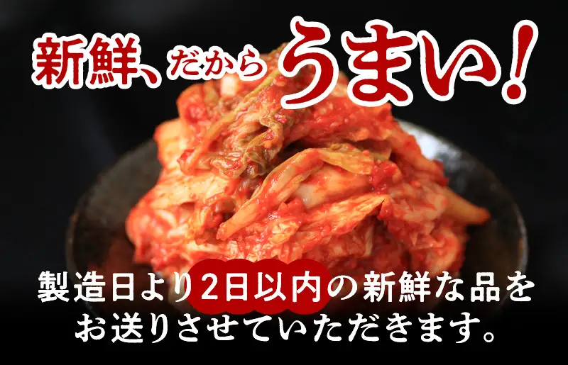 定期便 白菜キムチ 1kg × 3回 大好評 韓国