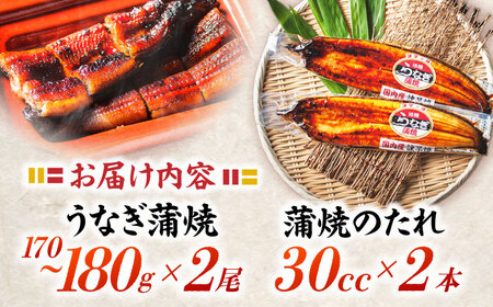 【お中元対応可】＜諫早淡水＞特大うなぎ蒲焼 2尾 / うなぎ ウナギ 鰻 特大 蒲焼き ウナギ蒲焼 国産 冷凍 うな重 うな丼 ウナギ ひつまぶし / 諫早市 / 諫早淡水株式会社 [AHAT014] 丑の日 土用丑の日