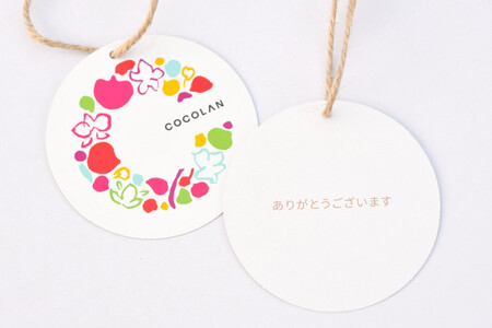 三木市で育てた大和ハウスのミニ胡蝶蘭 COCOLAN ベーシック（1本立ち） 【お花の色お任せ】