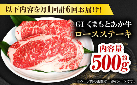 【全6回定期便】GIくまもとあか牛ロースステーキ　約500g【山鹿市（桜屋）】 熊本 特産 牛肉 特選 ロースステーキ あかうし [ZBO027]