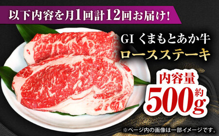 【全12回定期便】GIくまもとあか牛ロースステーキ　約500g【山鹿市（桜屋）】 熊本 特産 牛肉 特選 ロースステーキ あかうし  [ZBO028]