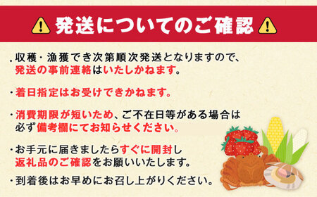 【ふるなびWEEK対象】【先行予約】スイートコーン 10本  【AJAJ003】 week