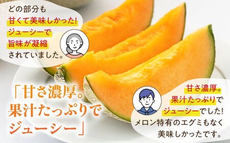 【先行予約】メロン 大玉 2玉 / 赤肉メロン 果物 フルーツ [AJAM003]