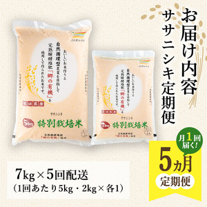 ＜5ヶ月定期便＞特別栽培米 ササニシキ 7kg×5回 (全35kg) お米 おこめ 米 コメ 白米 ご飯 ごはん おにぎり お弁当 有機質肥料 頒布会【JA新みやぎ】ta224