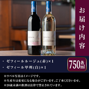 了美ワイン 2本セット 750ml×2 赤ワイン 白ワイン 飲み比べ アルコール お酒 みらいファームやまと【了美ワイナリー】ta317