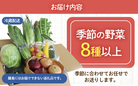 鯖街道からお届けする季節の新鮮野菜セット 8種以上[A-023004] [BFAN006]