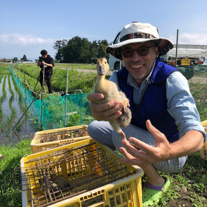 令和7年産 アイガモ栽培米 (白米) とロハ酒飲み比べセット｜2025年産 米 こめ ごはん 地酒 日本酒 [1105]